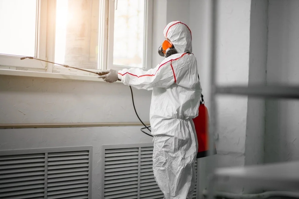 Professional mold remediation services in Edgewater, FL